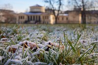 Der Hofgarten im Winter